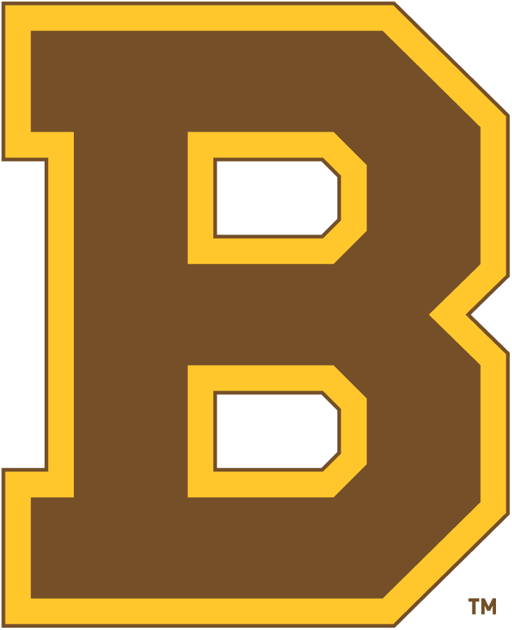 Boston Bruins 1932-1934 Primary Logo iron on transfers for clothing
